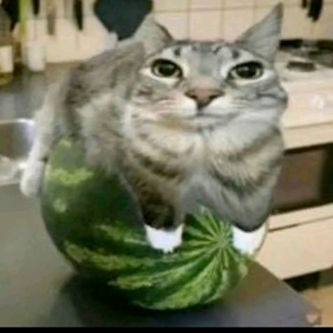 Montagem Voz Ultra (En Vivo)