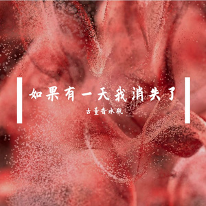 如果有一天我消失了