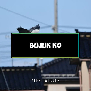 Dj Bujuk Ko (Remix)