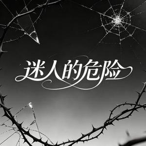 迷人的危险 (许衍 Xyan Remix)