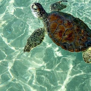 Neon Nights in Tokyo