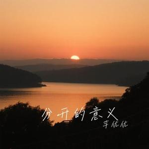 分开的意义 (Cover 徐暖暖)