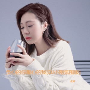 负心的你痴心的我 (DJ小刚氛围版)