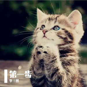 乌鸦！