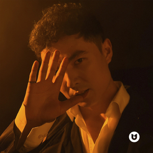 В океане глаз твоих тону