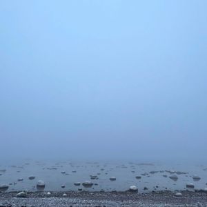 Dreaming By The Xindian