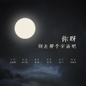 你啊，别去那个宇宙吧