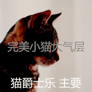 精彩小猫环境
