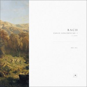 Violin Concerto No. 1 in A Minor, BWV 1041: II. Andante