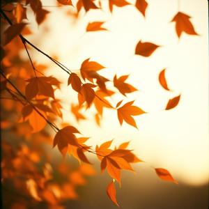 〈剛好而已〉 by Yogi & Bros