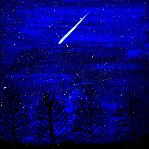 유성우 (流星雨)