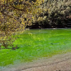 炽热的欣-整曲 伴奏