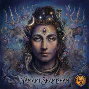 Namami Shamishan