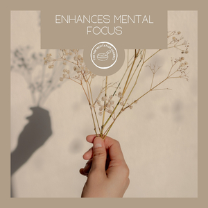 Enhances Mental Focus