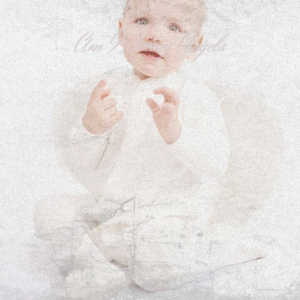 Ronnie Hawkins Suzie Q