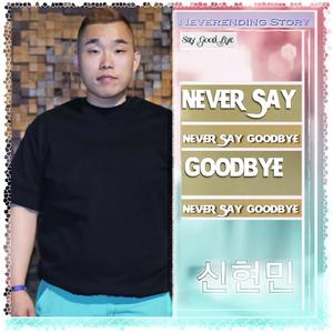 Never Say Goodbye