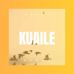 爱情陷阱 (DJ版)