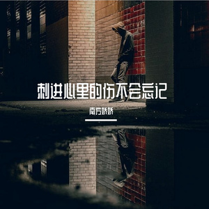 刺进心里的伤不会忘记