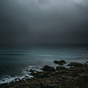 Their Wings of Golden Light