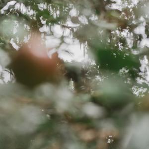 in case no one has told you (well done)