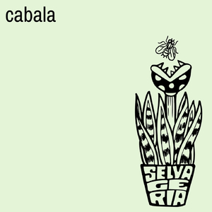 Selvageria