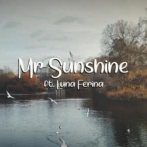 Mr. Sunshine