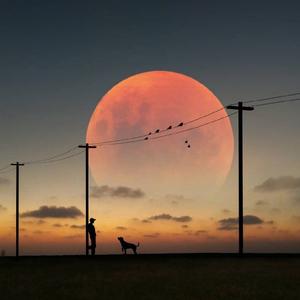 蔡健雅-Leting go（钢琴演奏片段）（lhn的故事 remix）