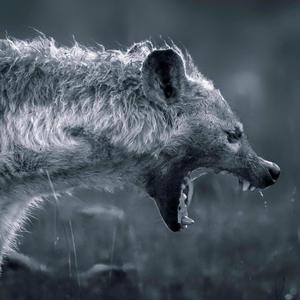 Hyena (feat. Dirty Mike)