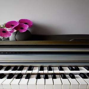 Piano Sonata No. 27 E minor Opus 90 2nd movement