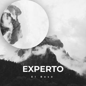 Experto