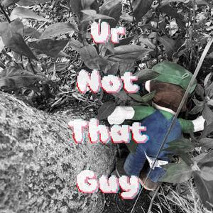 Ur Not That Guy