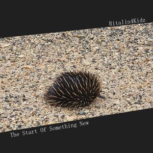 Sad White Boy Still Sucks at Guitar, but He's Getting Better