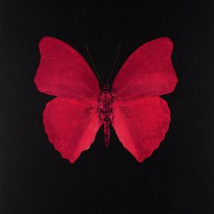 7 rings（cover. Ariana Grande）（翻自 Ariana Grande）