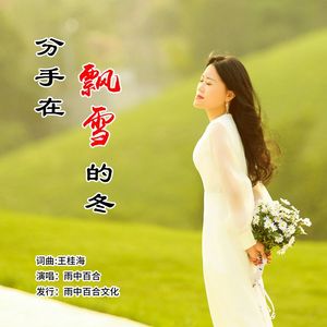 分手在飘雪的冬 伴奏