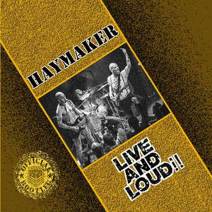 We Are Haymaker (Live)