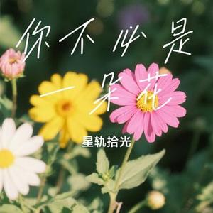 你不必是一朵花 (Cover J.H.H & 星轨拾光)