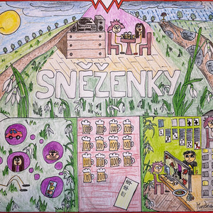 Sněženky