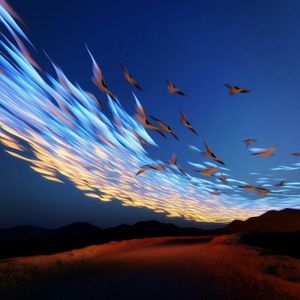 心潮涌-杨大大 DJ私人定制