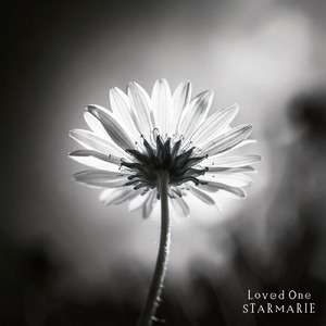 Loved One (STARMARIE ver)
