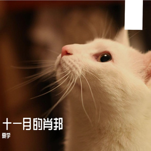 十一月的肖邦（Chopin in Autumn）