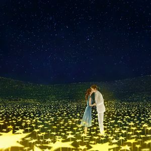 满天星辰不及你