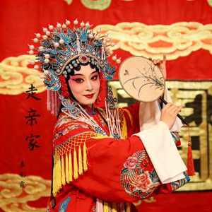 上党鼓书（走亲家）上片段2