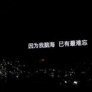 是什么样的爱情（翻自 张阳阳）