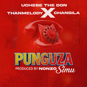 Punguza Simu