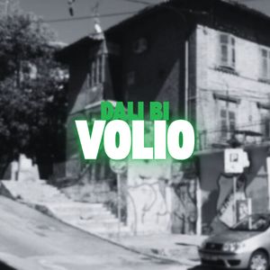 Dali Bi Volio
