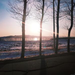 飞燕（半音阶口琴）（翻自 南里沙）