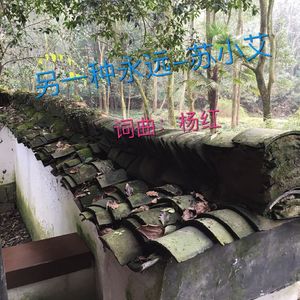 另一种永远-苏小艾