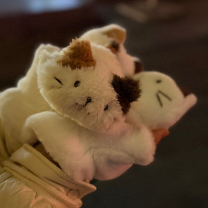 我的朋友, 冬天是个不妙的季节