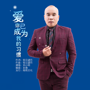 爱你已成为我的习惯