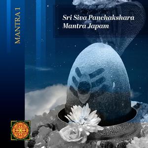 Introduction (feat. Dr Jayalakshmi Nagarajah)